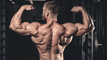 Que equipamento de fitness pode ser usado para treinamento muscular do ombro?
