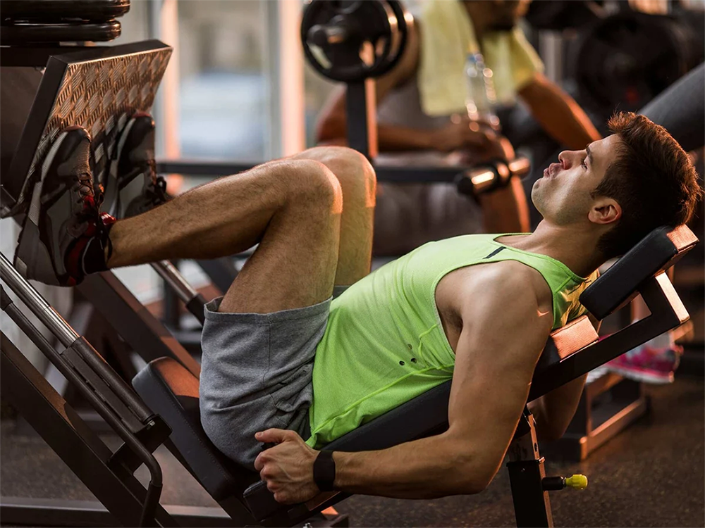 Pressão do Curl vs Leg Press: O que é melhor para o seu treino de perna?