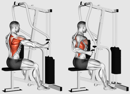 Devemos nos concentrar nas remadas ou nas puxadas para um melhor treinamento das costas?