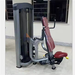 Máquina de ginástica de mosca peitoral
